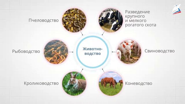 Растениеводство и животноводство в нашем крае смотреть онлайн