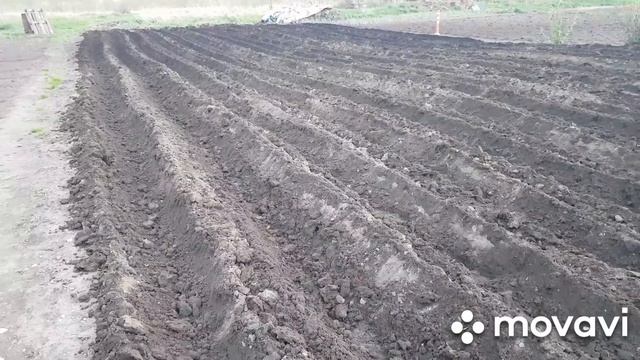 Окучник от миника в тестовом режиме!!! смотреть онлайн