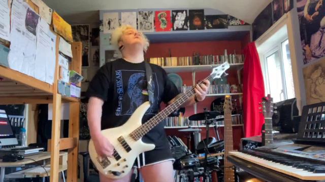 Nirvana - In Bloom (Bass Cover) смотреть онлайн