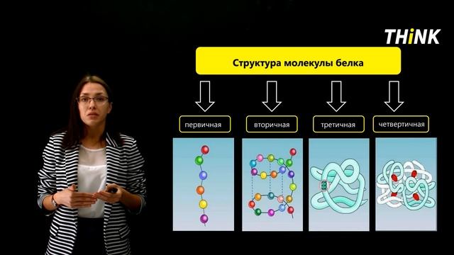 Химический состав клетки: Белки (2/4) | Подготовка к ЕГЭ по Биологии смотреть онлайн