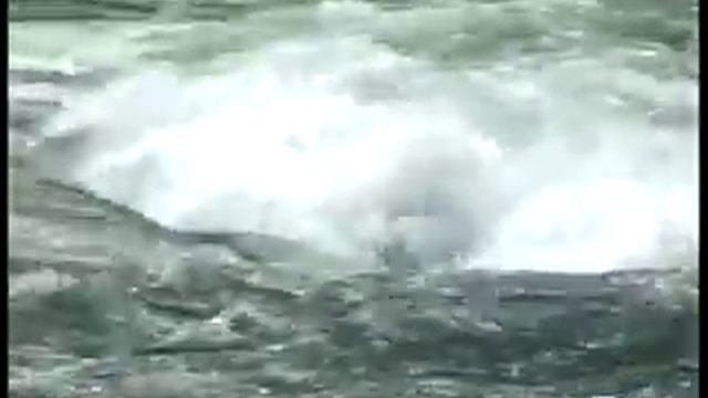 псалом 6 _xvid.avi смотреть онлайн