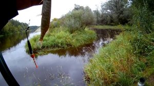 Ловля окуня на живца - Моя рыбалка часть 20