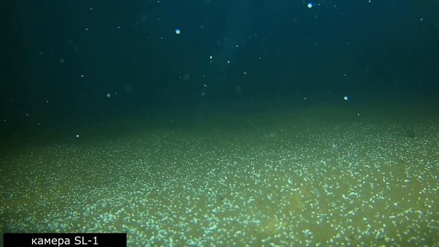 Выксунский (Запасный пруд) //ЧТО СКРЫВАЕТ ГЛУБИНА ?//зимняя рыбалка смотреть онлайн