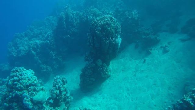 GoPro 4, Egypt underwater / Под водой, Египет смотреть онлайн