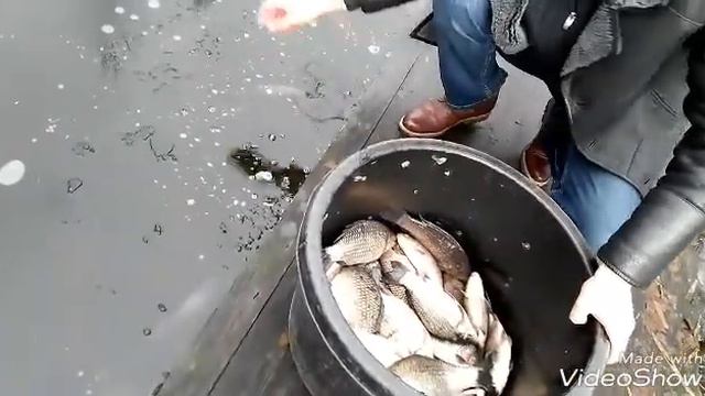+375292292288 Агроусадьба Заезд Зубачи пополняет к новому сезону 2018 популяцию карася смотреть онлайн