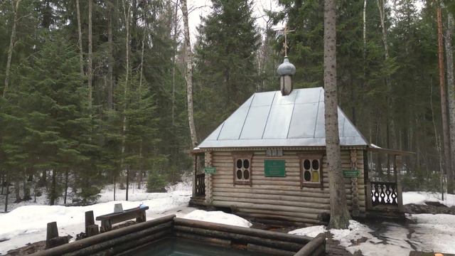 Никандрова пустынь 26 03 23 смотреть онлайн