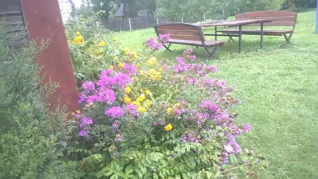 Białoruś. Muzeum Czesław Niemena 2 смотреть онлайн