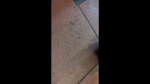 Jcb 3cx крестовина полуоси