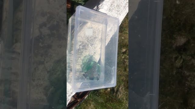 Магнитная (гравитационная) двигательная установка смотреть онлайн