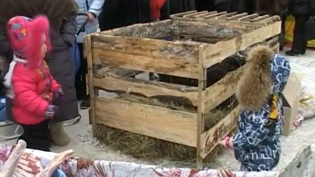 Ярмарка гастрономического фестиваля «Шадринский гусь» смотреть онлайн