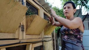 КРОЛИКИ///ПРОДОЛЖАЕМ ЭКПЕРИМЕНТ///Кролики содержание и разведение