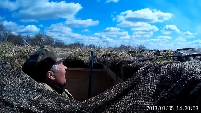 Охота 2016 Гусь весна начало