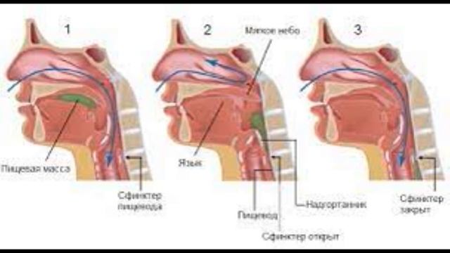 Проглотил язык... смотреть онлайн