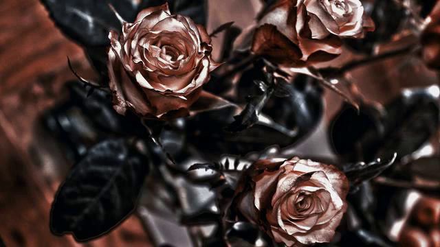 Канал самых новых русских новинок и видео 2015 смотреть онлайн