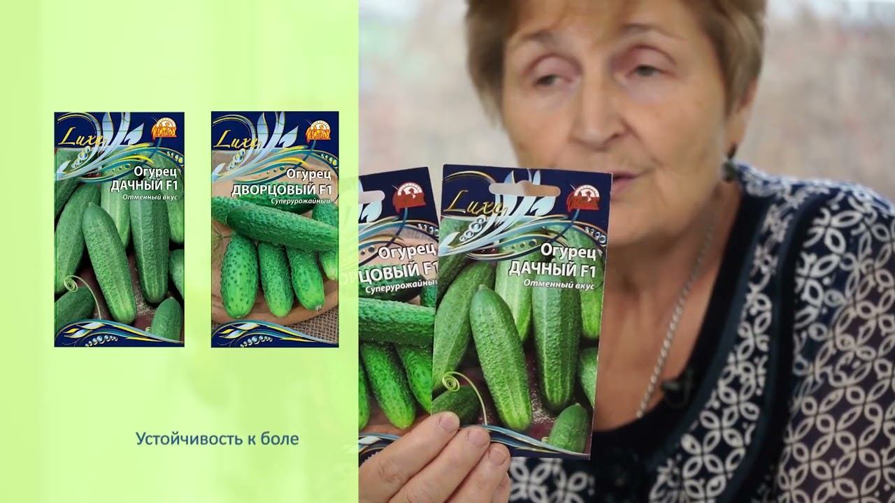 Огурец, кабачок , салат | Золотое семечко смотреть онлайн