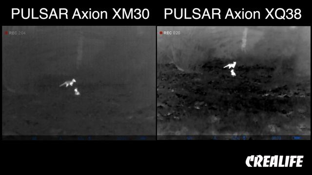 PULSAR Axion XM30 vs XQ38 | Какой тепловизор выбрать для охоты? смотреть онлайн