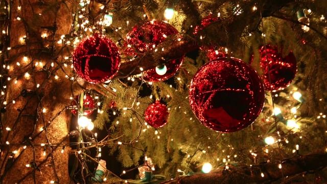 Christmas Wishes! смотреть онлайн