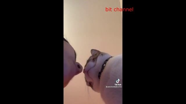 Видео приколы на сегодняшний день. Видео приколы 2022 смотреть онлайн