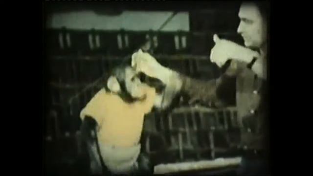 Дрессировщики обезьян. Ванда и Валентин Иванов. Trainers Monkeys. Wanda And Valentin Ivanov.