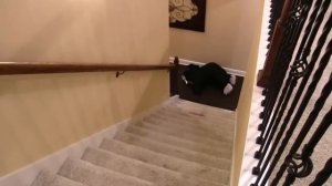 SML Movie: Jeffy Gets Stream Sniped [2024]