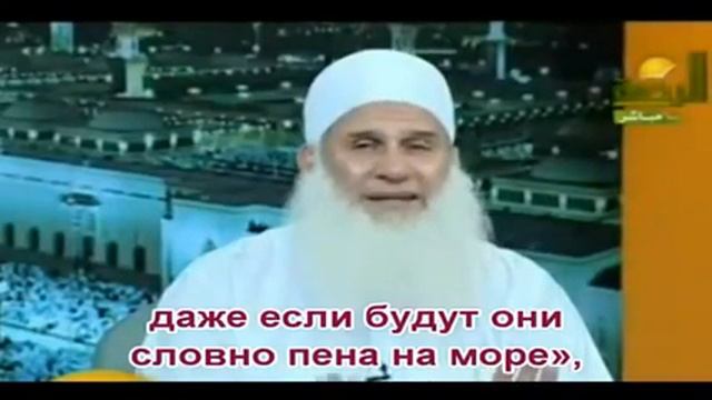 Шейх Мухьаммад Хьусайн Якъуб .Простое действие вводящее в рай . смотреть онлайн