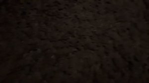 showing my monster Flex series2 toys