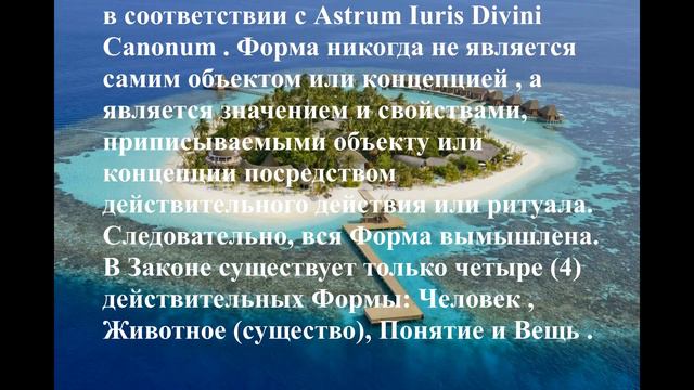 Статьи 23, 28, 29,31 Позитивного Право