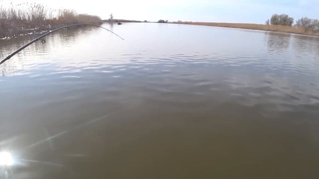 РЫБАЛКА В АСТРАХАНИ |2023| ОТОРВАЛСЯ ПО СУДАКУ! ЛОВЛЯ СУДАКА смотреть онлайн