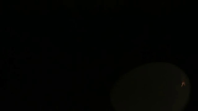 Фрагмент из Монти Пайтон смотреть онлайн