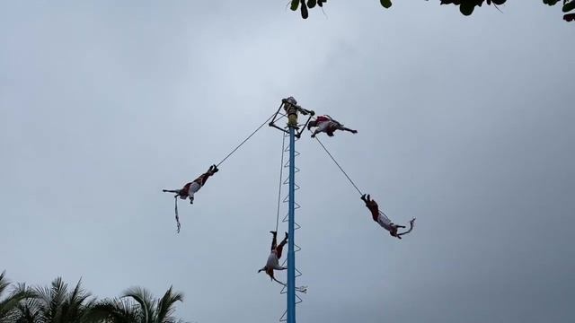 Отпуск в Мексике. Прогулка в Плайя дель Кармен. Отель Iberostar Tucan и Iberostar Quetzal.