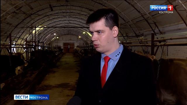 Костромской аспирант взялся за продление жизни коров смотреть онлайн