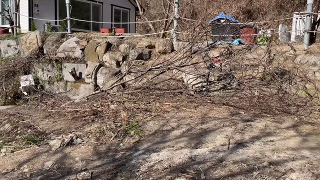 Южная Корея ?12 ноября/Наше утро/Отпилила дерево/Расчистила еще немного кладку/Вечер с внуками