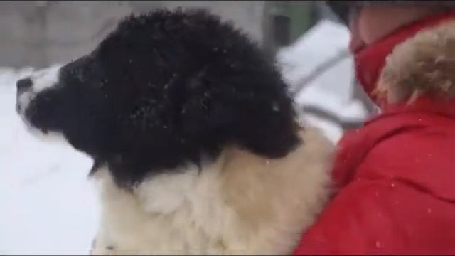 Хаура 4 месяца смотреть онлайн