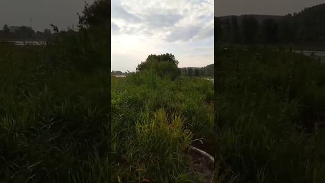 Междуреченск, река Уса. Переход с велосипедом. смотреть онлайн