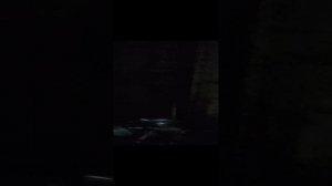 1000023037.mp4