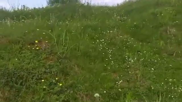 Ух эта молодая массажистка. смотреть онлайн