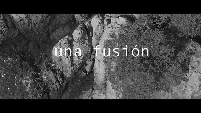 SHIRO by Paco Pérez смотреть онлайн