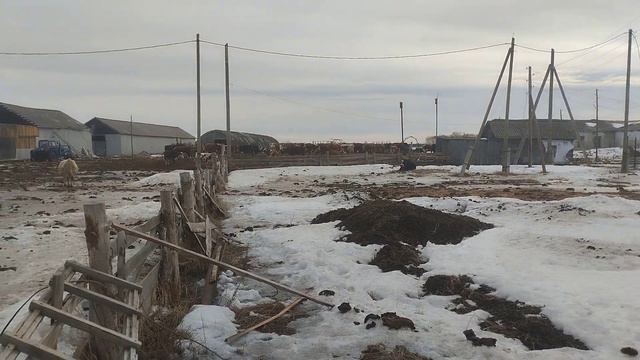 КРС после зимы смотреть онлайн