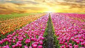 Расслабляющая Музыка Гитара, Релаксация, Медитации, Инструментальная музыка для отдыха