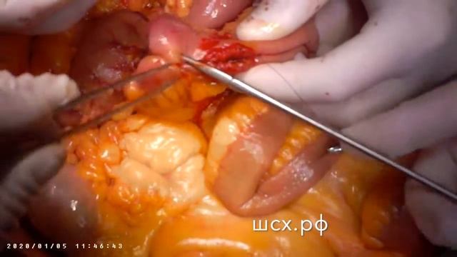 Желе с любовью: вдохновение каждый день