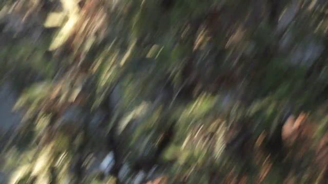 HD Video Test - Fujifilm Finepix S1600