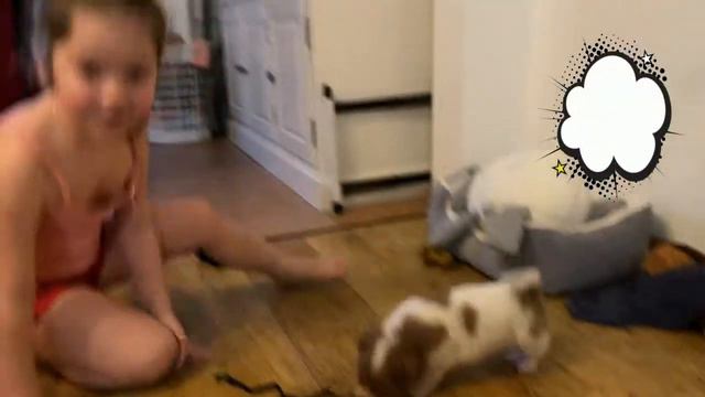 У Николь появился щенок.