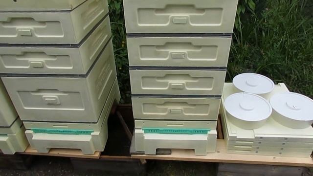 1 августа 2022 года, получил заказ с фирмы BienenHaus - 10 рамочные ульи на смену проданых ульев ПП смотреть онлайн