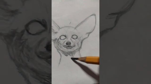 Рисую лисичку фенек смотреть онлайн