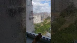 Как отмыть окно копеечным средством от фольги