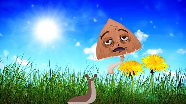 Why do snails have shells, but slugs don't? смотреть онлайн