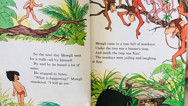 Late Aftercare Storytime- Mowgli and Kaa the Python смотреть онлайн