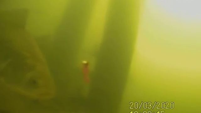 Рыбалка Троицк Заречье смотреть онлайн