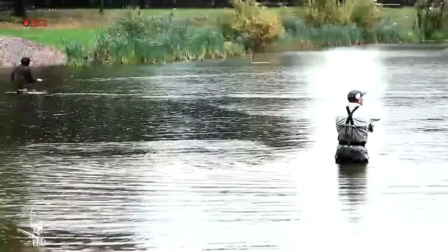 Видеоотчет о фестивале "Нахлыст без границ - 2013" смотреть онлайн