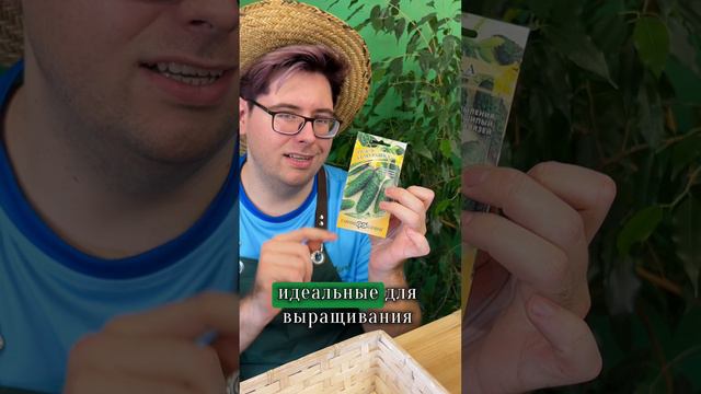 Виды огурцов смотреть онлайн